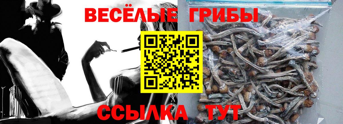 Галлюциногенные грибы Psilocybine cubensis Лесной